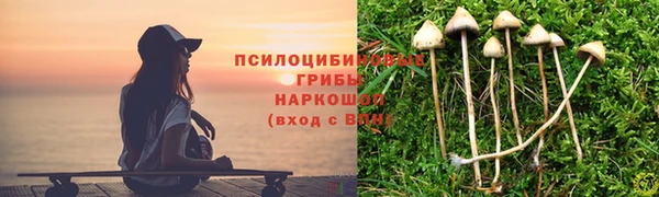apvp Абдулино