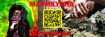 стафф Нальчик