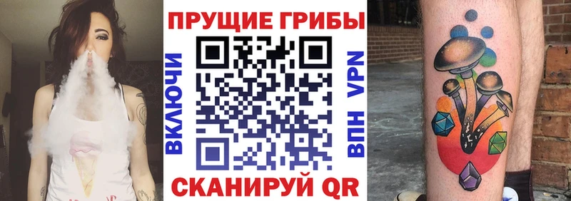 блэк спрут ССЫЛКА  Шадринск  Галлюциногенные грибы Magic Shrooms  что такое  