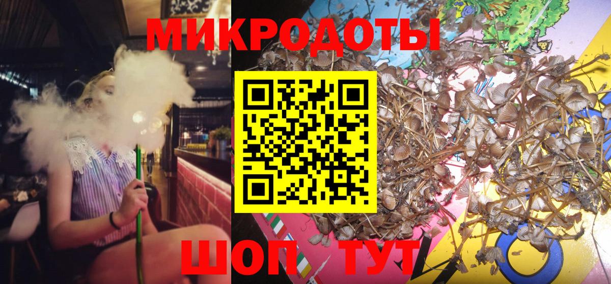 Шадринск  Псилоцибиновые грибы MAGIC MUSHROOMS  Вход с VPN 