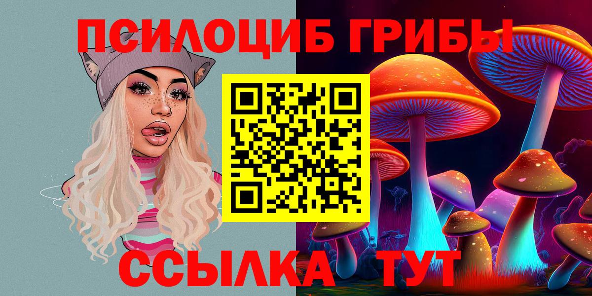 Псилоцибиновые грибы Psilocybine cubensis Шадринск